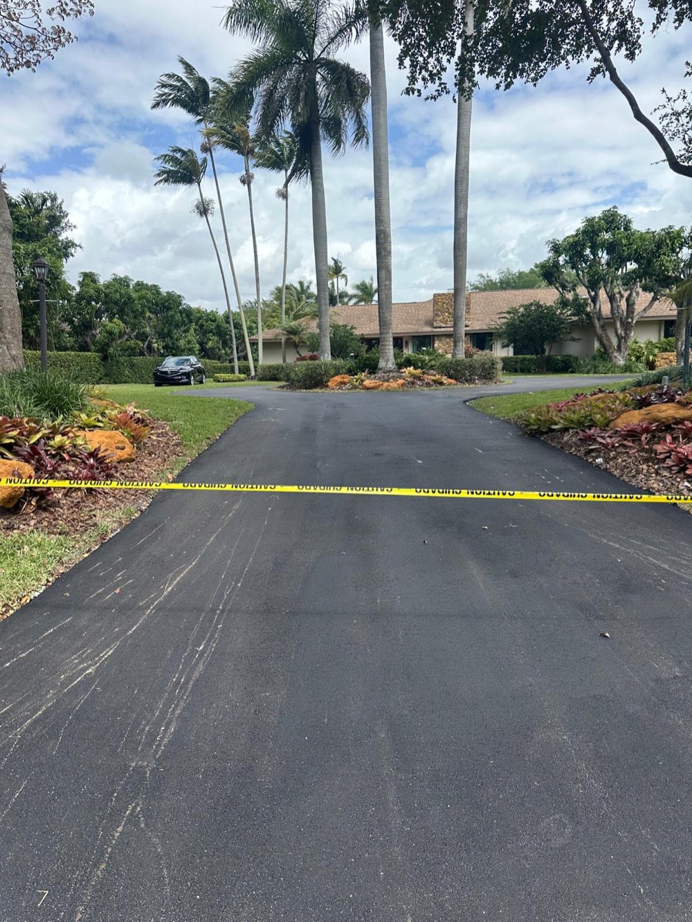 Freshly completed asphalt driveway with royal palms at an upscale home